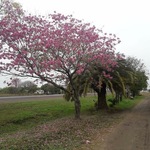 6b78d5b3-7850-4dec-adbd-5031b2521d82