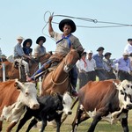 Epc190514-010f04-1024x651