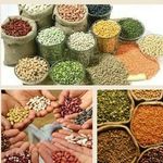 14232646_605511086276887_5066526697359098984_n