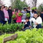 14192536_667429640083060_1913200187996933721_n